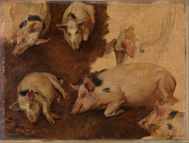 Anders Askevold, "Study of six Pigs" (1900)